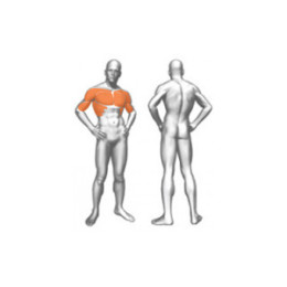 Пулловер Panatta (базовый) 1FE039B