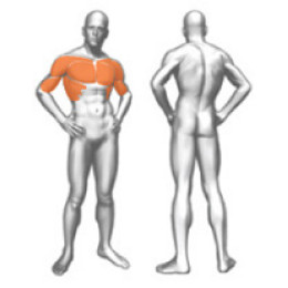 Пулловер Panatta (базовый) 1FE039B