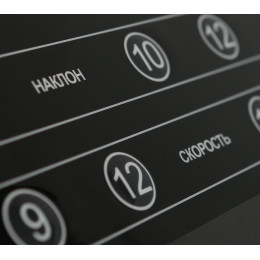 Беговая дорожка Bronze Gym T1000M Pro Turbo