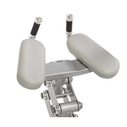 Ягодичные мышцы Hoist RS-1412