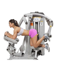 Ягодичные мышцы Hoist RS-1412