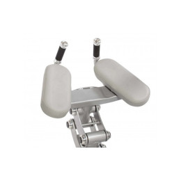 Ягодичные мышцы Hoist RS-1412