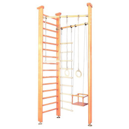 Детский спортивный комплекс Карусель 3Д.01.01