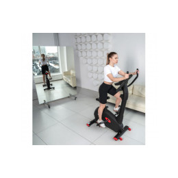 Велотренажер DFC B255 магнитный