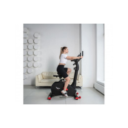 Велотренажер DFC B255 магнитный