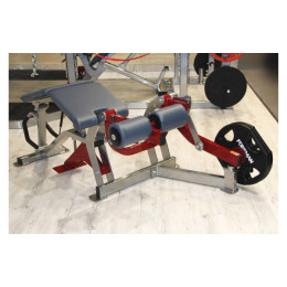 Сгибание ног лежа Foreman FLY-213