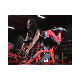 Сгибание ног лежа Foreman FLY-213