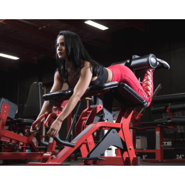 Сгибание ног лежа Foreman FLY-213