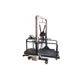 Беговая дорожка AMF 8612RP