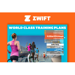 Беговая дорожка Titanium Masters TM Slimtech C10 Coffee