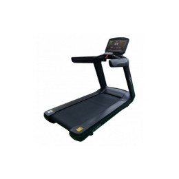 Беговая дорожка CardioPower Pro CT300