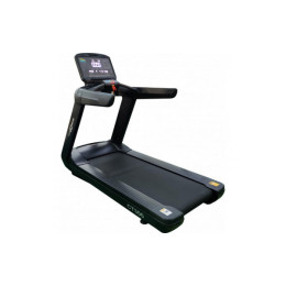 Беговая дорожка CardioPower Pro CT300