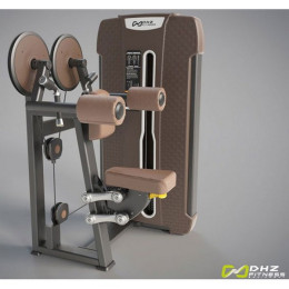 Дельт-машина (Lateral Raise) DHZ E-4005