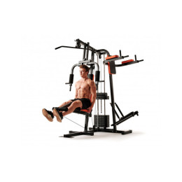 Силовой комплекс DFC HomeGym D7002