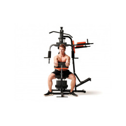 Силовой комплекс DFC HomeGym D7002
