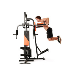 Силовой комплекс DFC HomeGym D7002