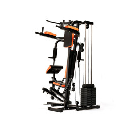 Силовой комплекс DFC HomeGym D7002