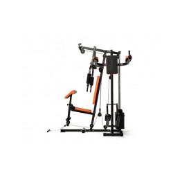 Силовой комплекс DFC HomeGym D7002