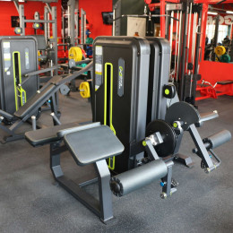 Сгибание ног лежа (Prone Leg Cur) DHZ A3001