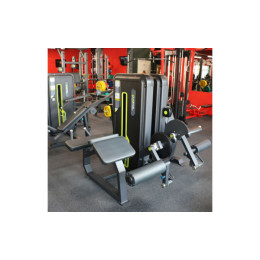 Сгибание ног лежа (Prone Leg Cur) DHZ A3001