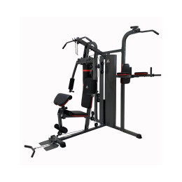 Силовой комплекс DFC D7006