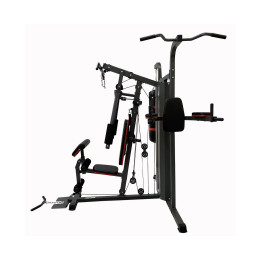 Силовой комплекс DFC D7006