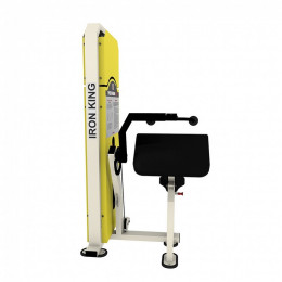 Трицепс машина Iron King NL 08