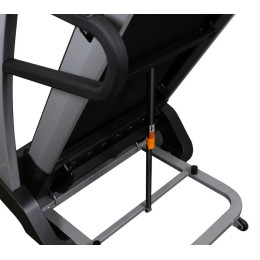 Беговая дорожка Svensson Body Labs Enterprise Muse