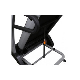 Беговая дорожка Svensson Body Labs Enterprise Muse