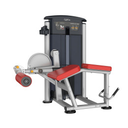 Сгибание ног лежа Aerofit IT9521