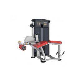 Сгибание ног лежа Aerofit IT9521