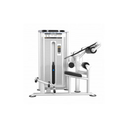 Пресс машина\Разгибание спины Abdominal Isolator & Back Extension DHZ Стек 110 кг U-2088