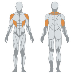 Жим над головой (круговой) Panatta 1MTH024