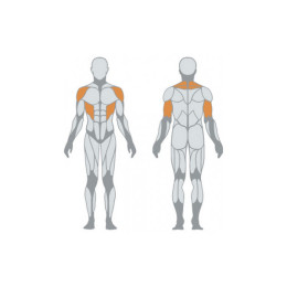 Жим над головой (круговой) Panatta 1MTH024