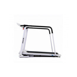 Беговая дорожка DFC Avalon для реабилитации T185W белый