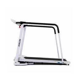 Беговая дорожка DFC Avalon для реабилитации T185W белый