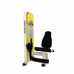 Разгибание ног сидя Iron King NL 06
