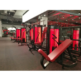 Задние дельты, баттерфляй Foreman FN-315