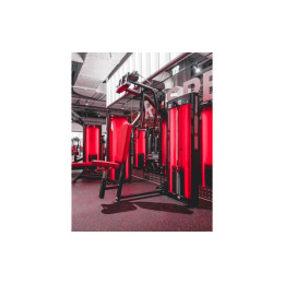 Задние дельты, баттерфляй Foreman FN-315