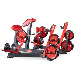 Бицепс с упором в грудь (скамья пастыря - preacher curl) Panatta 1FW512