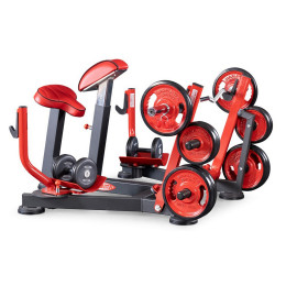 Бицепс с упором в грудь (скамья пастыря - preacher curl) Panatta 1FW512