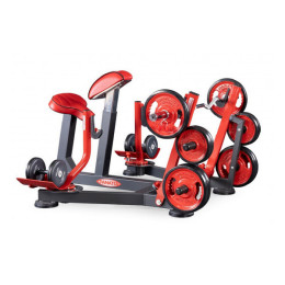 Бицепс с упором в грудь (скамья пастыря - preacher curl) Panatta 1FW512