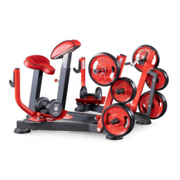 Бицепс с упором в грудь (скамья пастыря - preacher curl) Panatta 1FW512