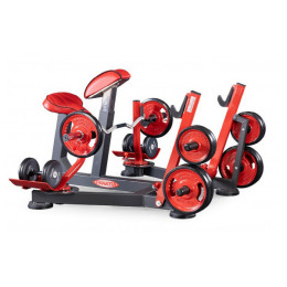 Бицепс с упором в грудь (скамья пастыря - preacher curl) Panatta 1FW512