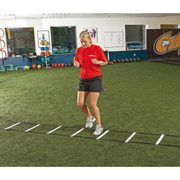 Лестница Perform Better Agility Ladder 3632-01 длина 9 м 14 см