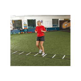 Лестница Perform Better Agility Ladder 3632-01 длина 9 м 14 см