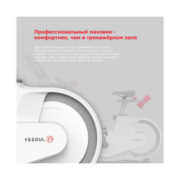 Велотренажер Xiaomi Yesoul BV1-B-21.5 черный (дисплей 21.5")