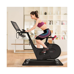 Велотренажер Xiaomi Yesoul BV1-B-21.5 черный (дисплей 21.5")