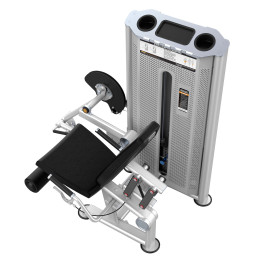 Разгибание ног сидя (Leg Extension) DHZ U-2002