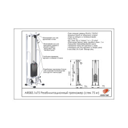 Реабилитационный тренажер ARMS (стек 75кг) AR083.1х75